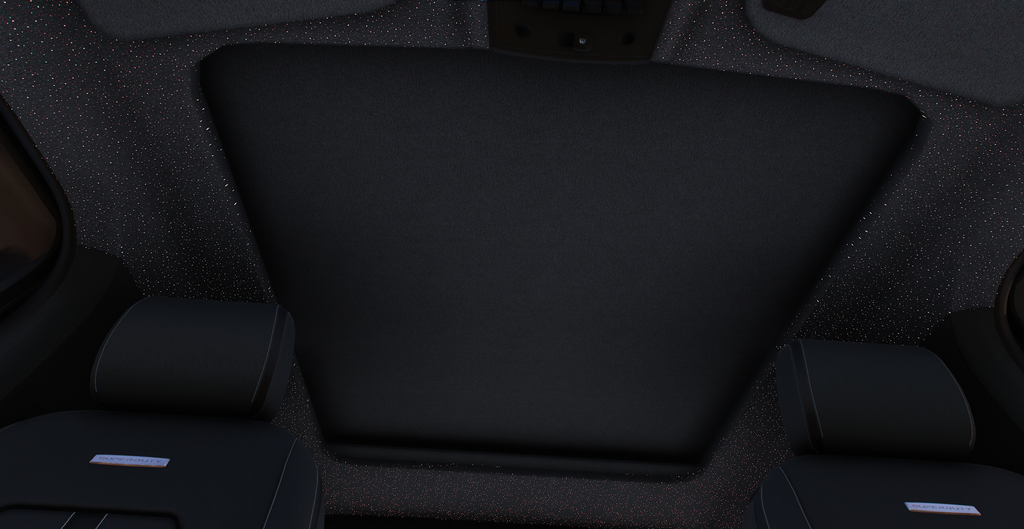 2019 ford dually DEBADGED