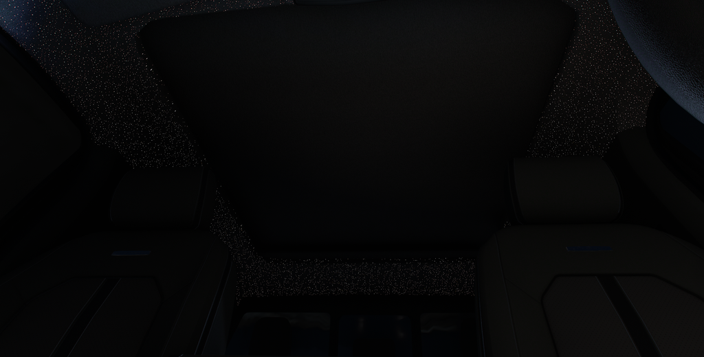 2019 ford dually DEBADGED